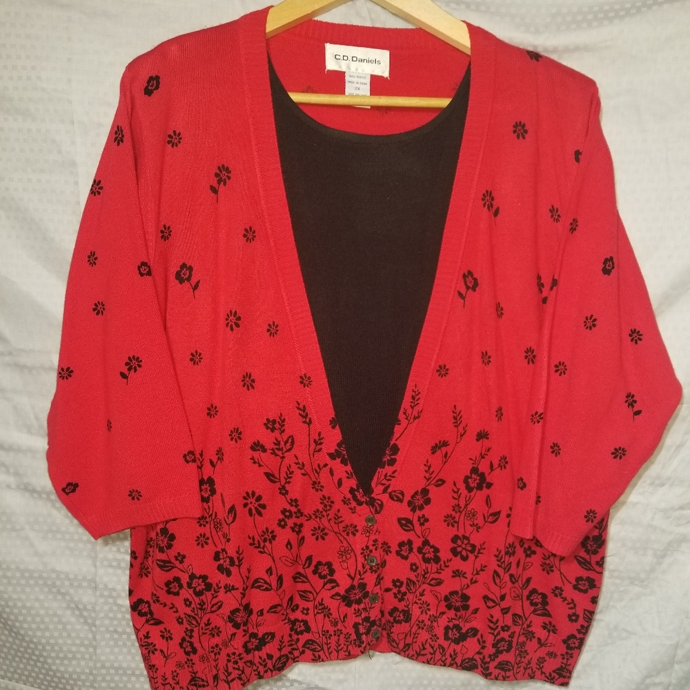 C.D. Daniels layered top